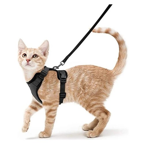 Pet cat harness lead - pet,