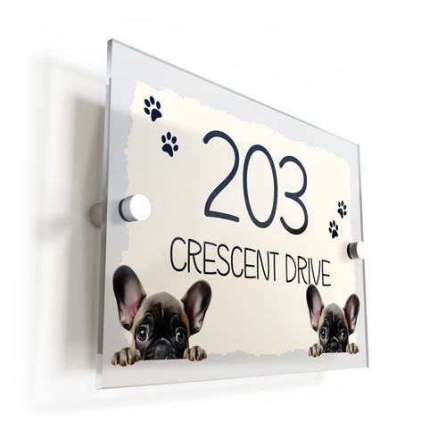 French bulldog puppy cream - puppy,
