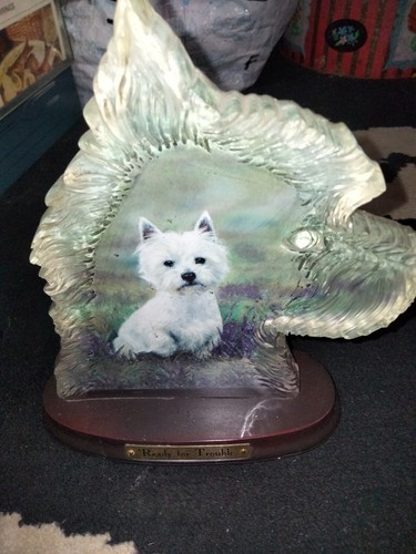 Vintage pdsa westie - vintage,