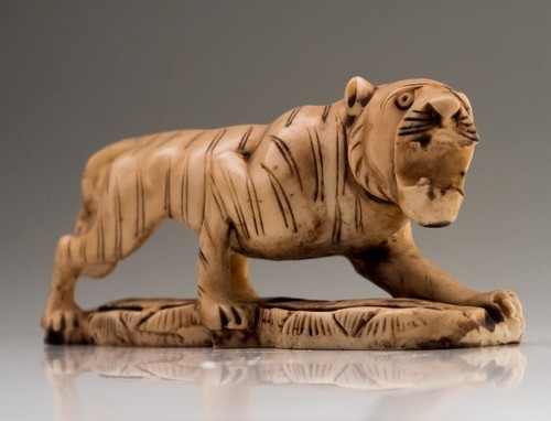 Crouching indian tiger - crouching,