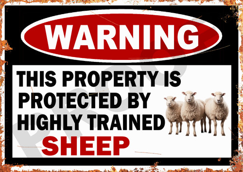 Animals warning sign sheep - animals,