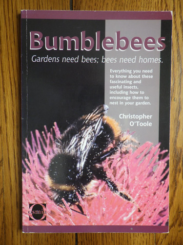 Bumblebees gardens need - bumblebees,