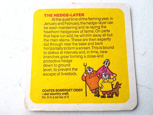 Vintage coates cider - cider,