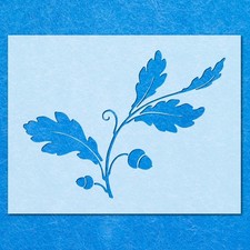 Acorn Leaf Tree Leaves Twig