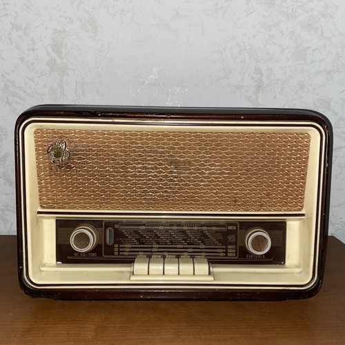 Jealous radio g331r am - fm,,,