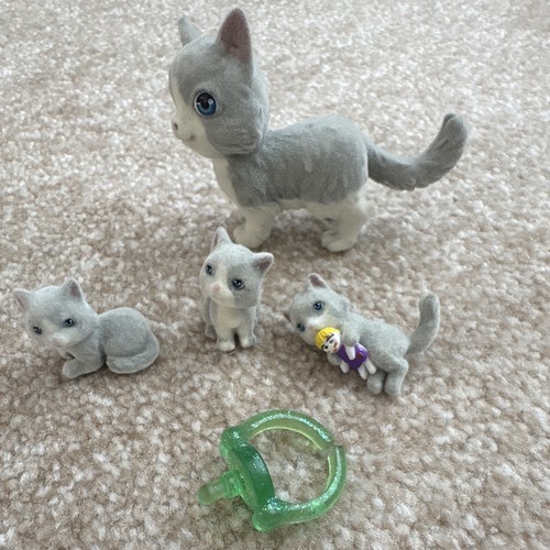 Kitty pocket ragdoll - kitty,