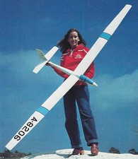 Giant Kittiwake Slope Soarer