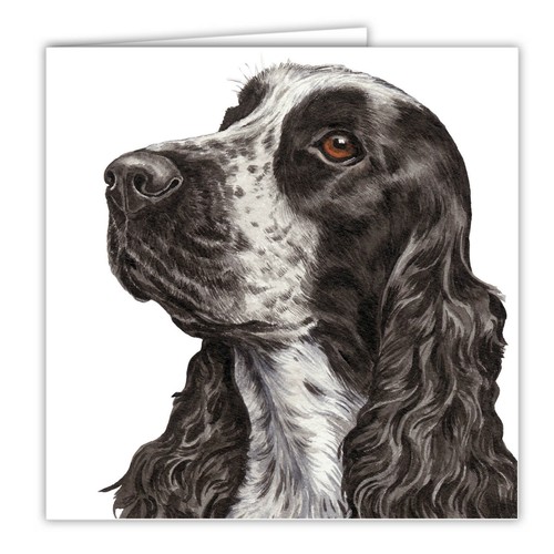 English cocker spaniel blank - english,