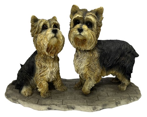Yorkie terriers on a - x,