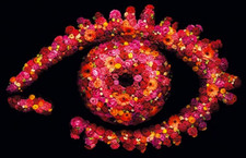 Ultimate Big Brother UK
