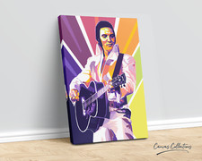 Elvis Presley - Guitar Legends