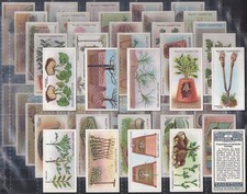 WILLS-FULL SET- GARDENING HINTS 1923 (50 CARDS) EXCELLENT