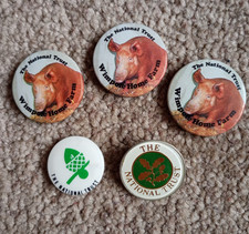 5x THE NATIONAL TRUST PIN
