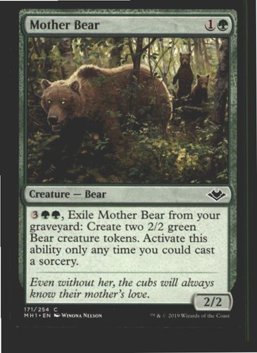 Mother bear 171 - mother, common