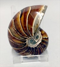 Really attractive polished