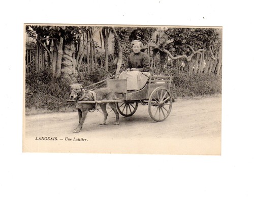 Postcard indre et - postcard, 37