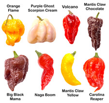 Worlds HOTTEST Chilli - 40 Seeds - 8 Varieties inc Carolina Reaper + FREE Seeds