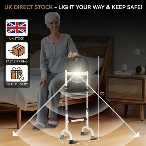 Standing assist chair bed rail - standing,