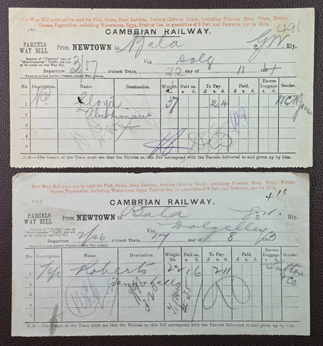 1893 1894 cambrian - 1893,