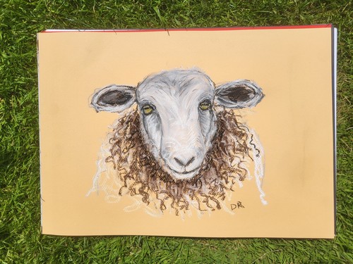 Herdwick sheep original large