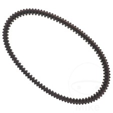 Drive Belt 30.0X1016