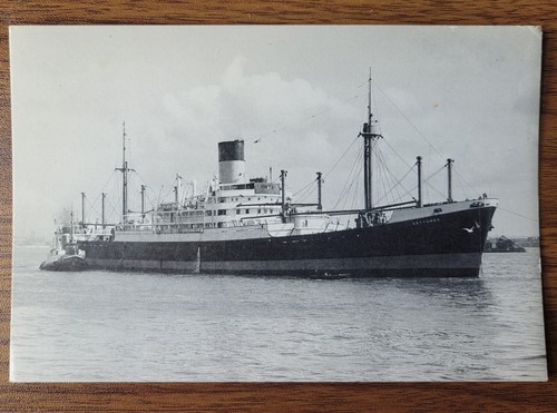 Blue funnel line - line, m.v.