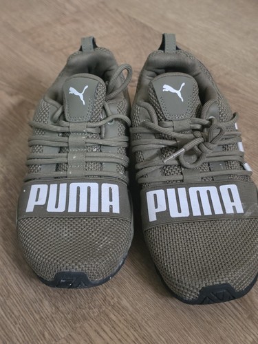 Puma cell regulate burnt - cell, 'burnt