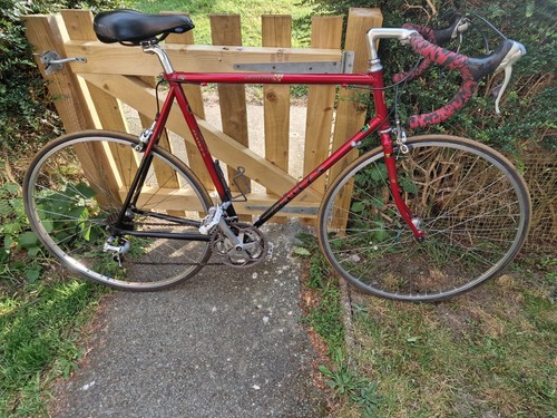 Dawes giro audax 63cm reynolds - giro,
