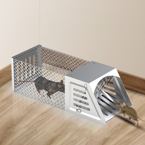 Rat squirrel cage - cage, humane