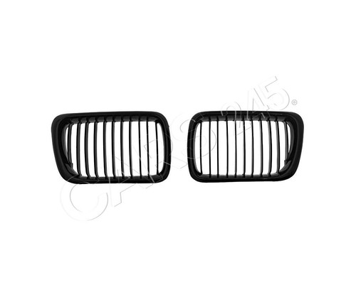 Radiator kidney grills pair - kidney,