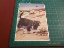 MURIEL DAWSON CURIOSITY