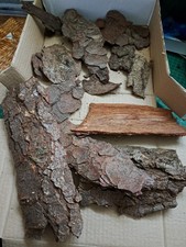 Tree Bark Assorted Sizes