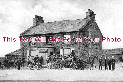 3643 the cat fiddle - fiddle, inn