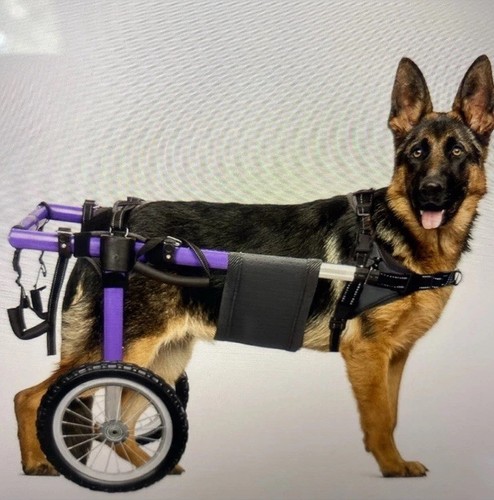 Virbraroo adjustable dog pet - virbraroo,