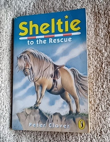 Sheltie the rescue - sheltie, to