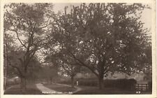 Newton on Ouse near Tollerton