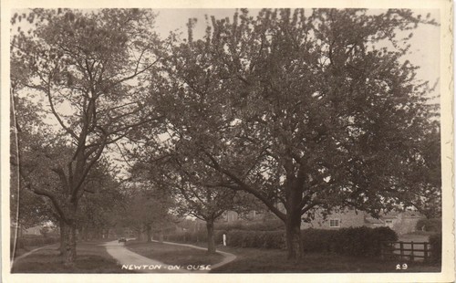 Newton ouse near tollerton - ouse,