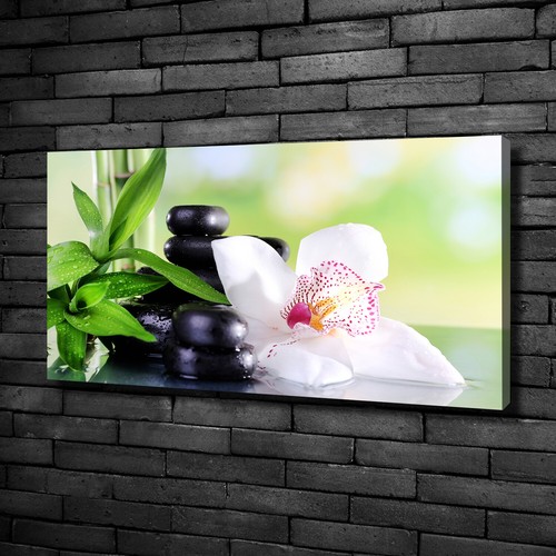 Canvas art print - canvas,