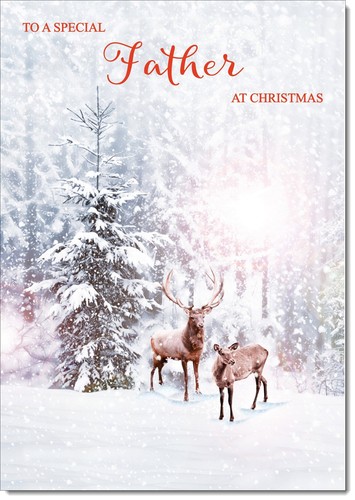 Doodlecards father christmas - doodlecards,