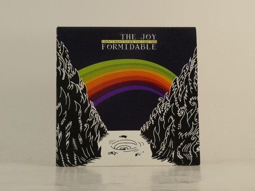 The joy formidable - the, don't