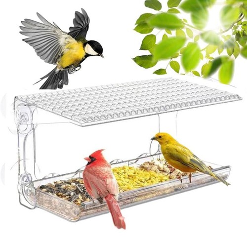 Parrot automatic feeder - automatic,