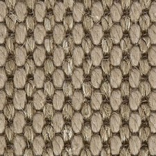 Crucial Trading Sisool Masai