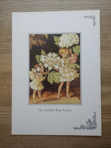 Cicely mary barker guelder - cicely,