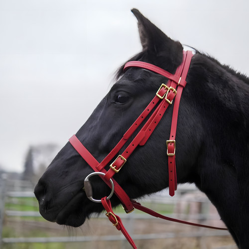 Horse comfort tack - tack, padded
