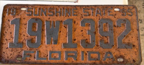Vintage 1955 florida license - florida,
