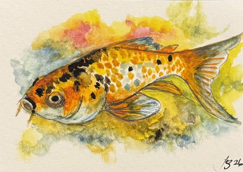 Aceo original watercolour - aceo,
