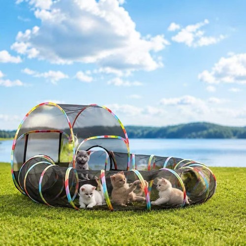 Outdoor cat enclosure - cat,