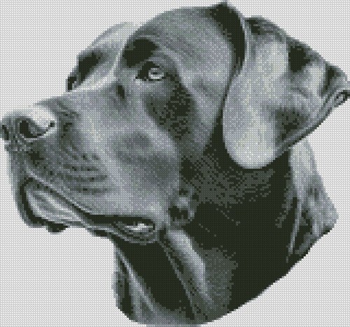 Complete counted cross stitch - complete,