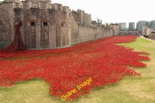 Photo 6x4 Tower poppies London