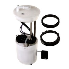 Delphi FG0960 Fuel Pump Module